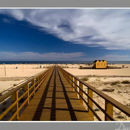 V2 Soft Manta Rota *