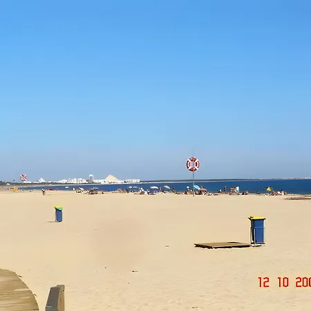 V2 Soft Manta Rota *